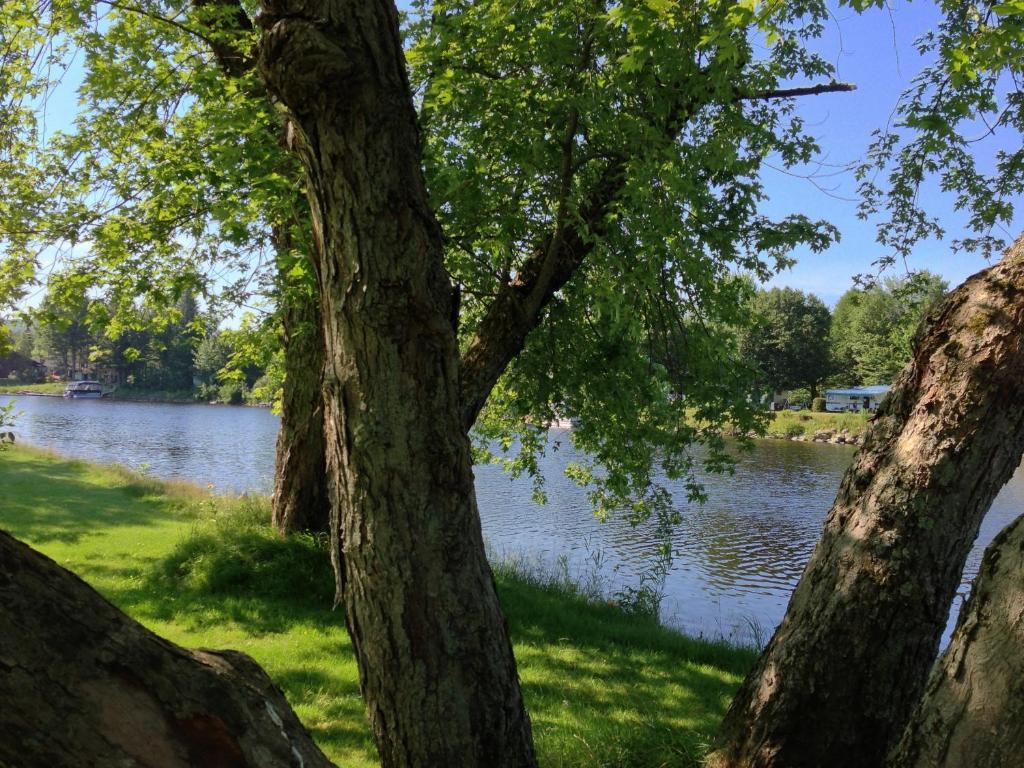 Le Reflet De La Riviere B&B Weedon-Centre エクステリア 写真