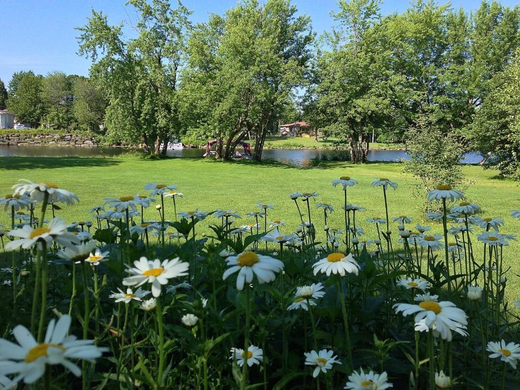 Le Reflet De La Riviere B&B Weedon-Centre エクステリア 写真